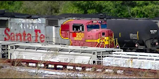 IECV TATA #19 | 👀 Train Box Cars And The Pigeons - Rock Doves 11-2-2014