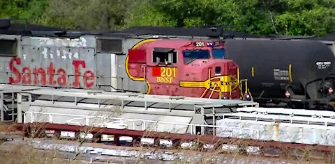 IECV TATA #19 | 👀 Train Box Cars And The Pigeons - Rock Doves 11-2-2014