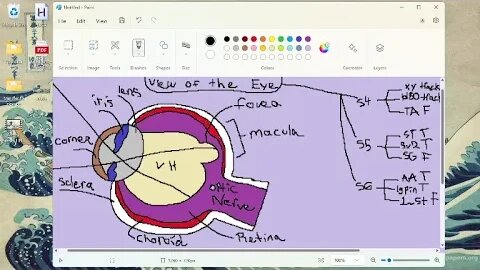 Session 4: Metagame (Paint, Typing, Aim Training) - Part 9 -