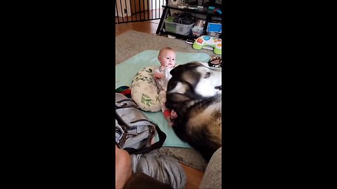 dogs🐕‍🦺 playing with kids 🧒 🧒kids love to dogs 🐕‍🦺💭❤️‍🩹