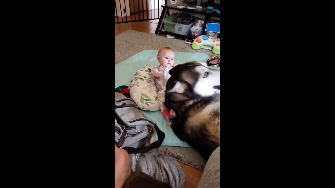 dogs🐕🦺 playing with kids 🧒 🧒kids love to dogs 🐕🦺💭❤️🩹
