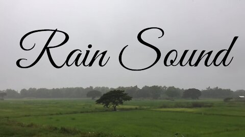 Heavy Rain Sound