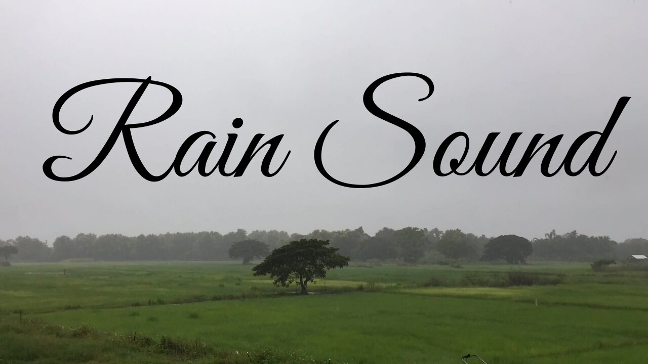 Heavy Rain Sound