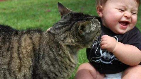 Funny baby laughing at cat compilation