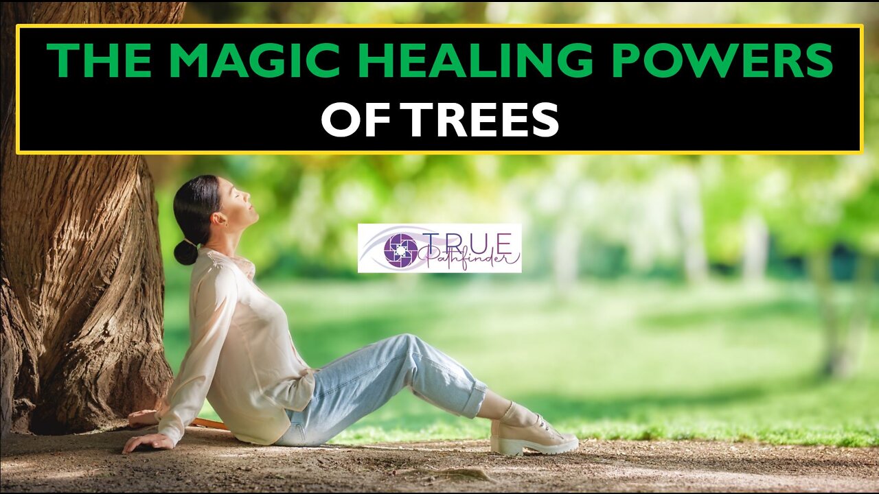 THE AMAZING HEALING POWERS OF TREES | True Pathfinder