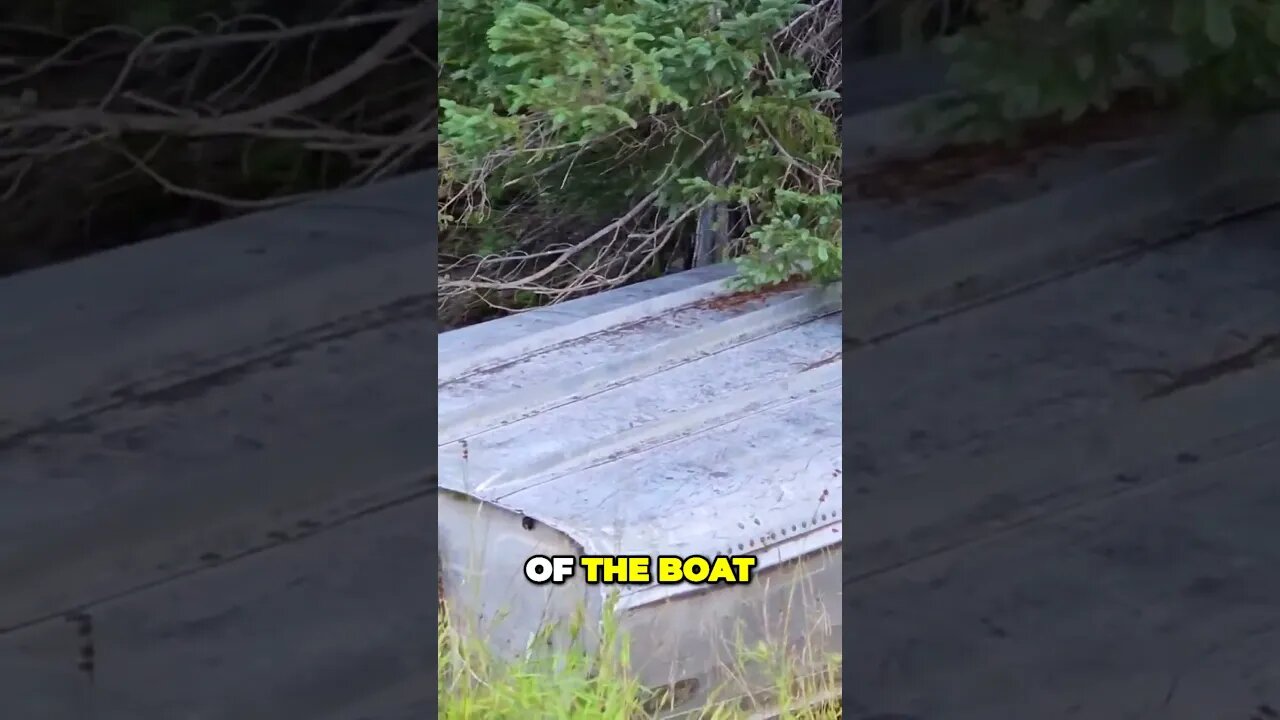 The Forgotten Boats of Tobacco Lake A Hidden Story of Neglect