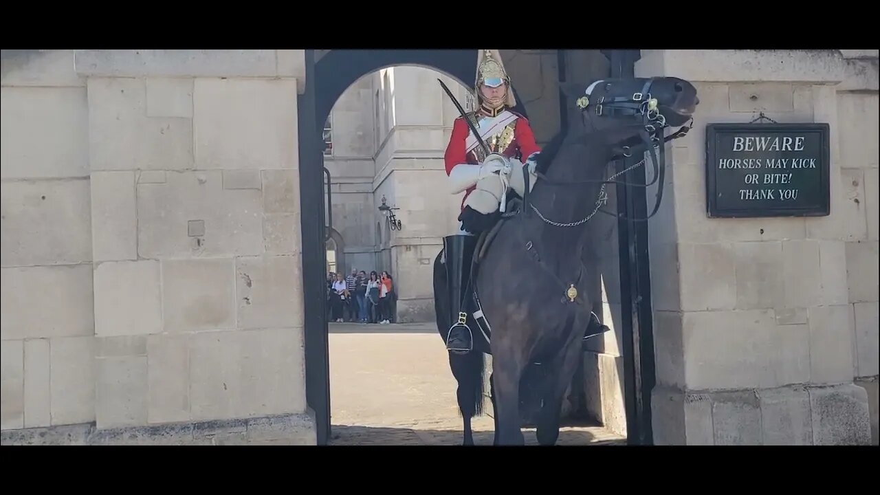 The Horse spins around before entering the box #horseguardsparade