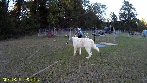 when you have goats!