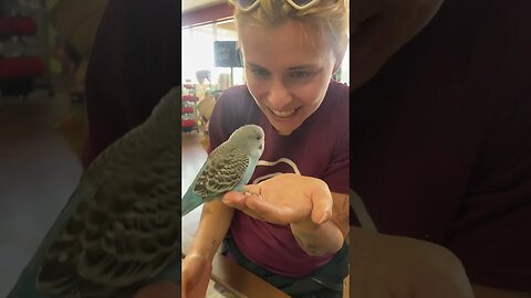 The Skeie Family at the Pet Store #ferrets #birds #pets