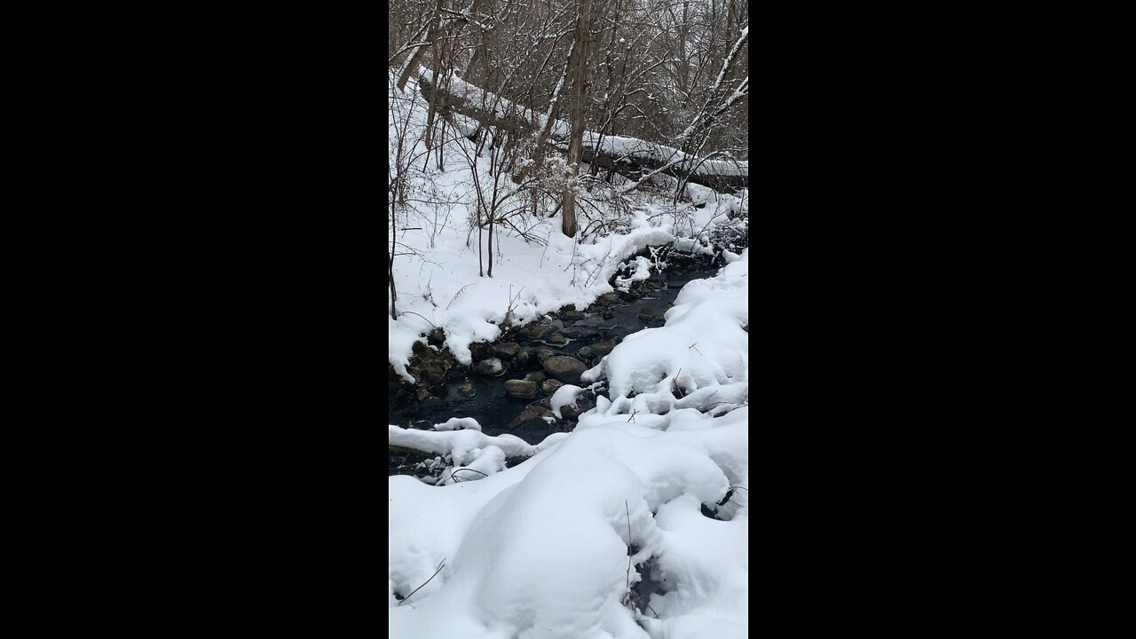 Walking through Carver Park