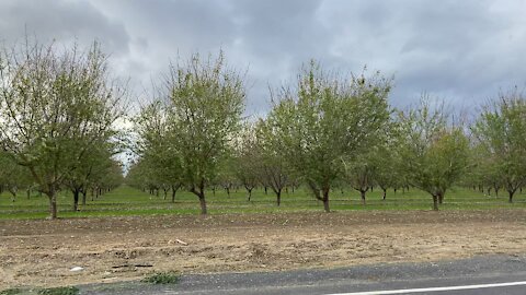 Tracy, California