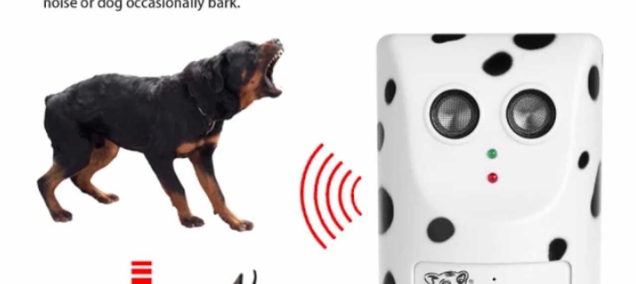 SOUND WEATHER YOUR DOG ANSWERS THE DISTANCE LISTEN TO THE COMMAND