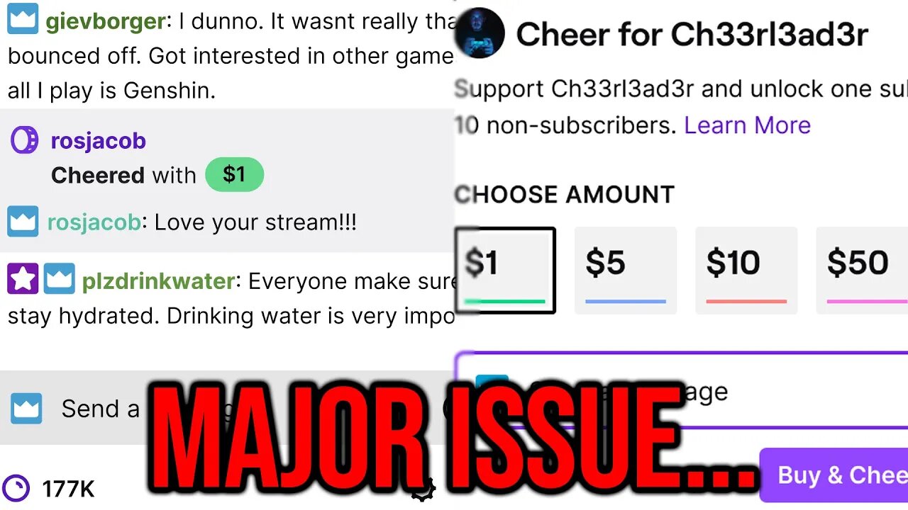 The HUGE Problem With Twitch's New 'Cheer' Feature...