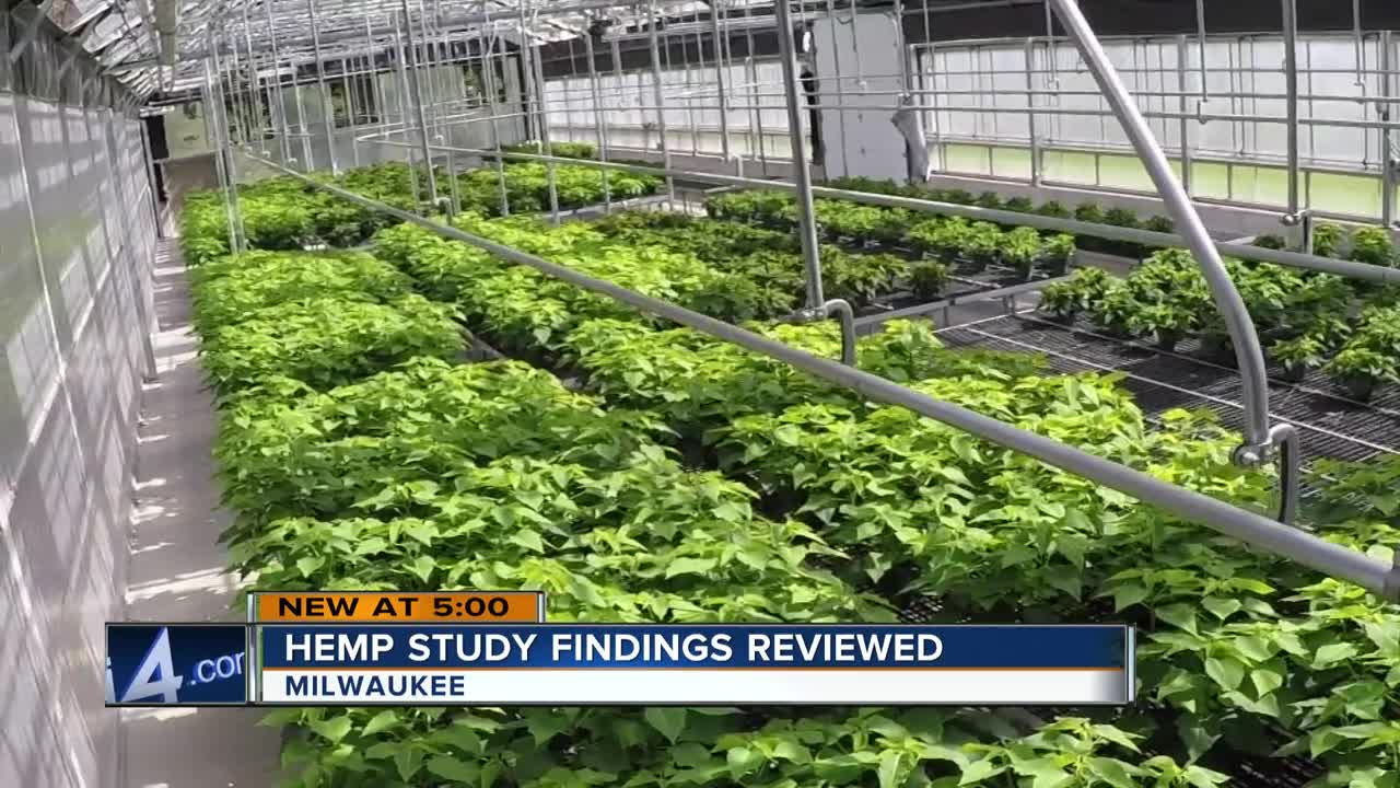 Hemp study findings being reviewed