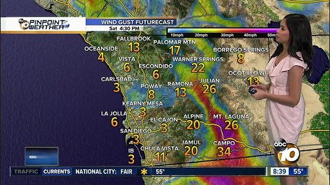 10News Pinpoint Weather for Sat. Jan. 26, 2019