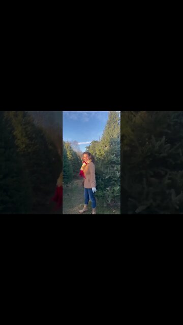 Do you think I picked out the right tree? Save “Bells” to your Spotify & Apple Music playlists! 🎄