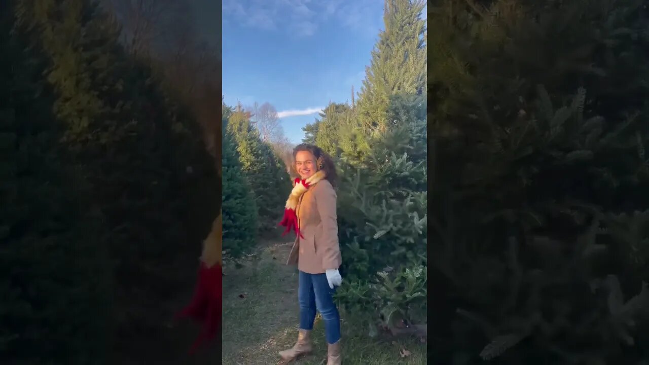 Do you think I picked out the right tree? Save “Bells” to your Spotify & Apple Music playlists! 🎄
