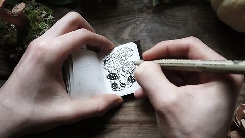 🍄 Miniature Mushroom Illustration VIII 🍄