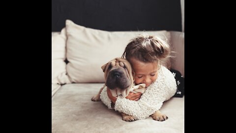 Cute Dogs and Babies are Best Friends 2021- Doing Things Funny [Pet Time]