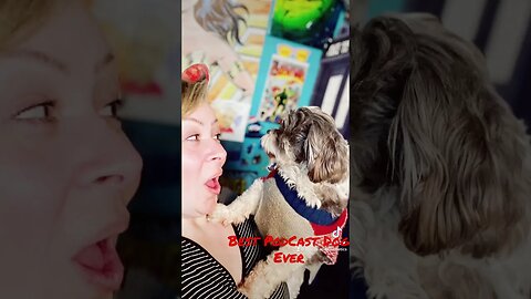 #podcastdog #dogsofyoutube #ewokbaby