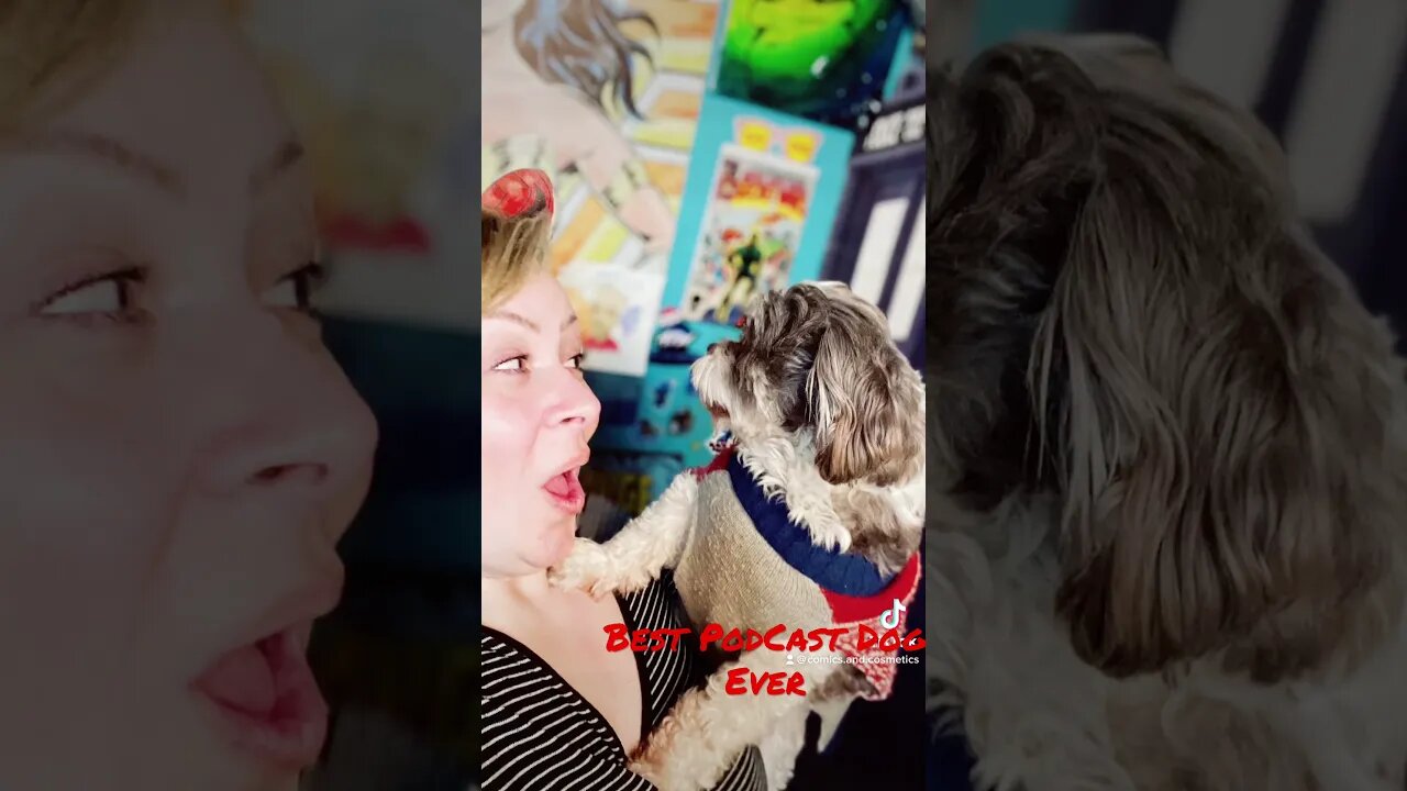 #podcastdog #dogsofyoutube #ewokbaby