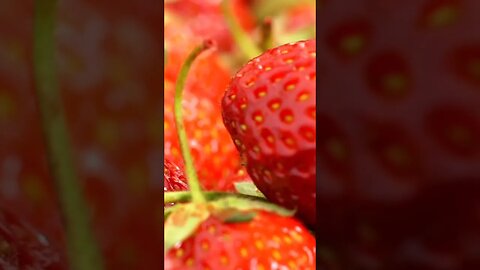 Bunch of Strawberries 😋 #shorts #shortsfeed