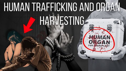 CEO Patricia Delinois Reveals Shocking Truth About the $200 Billion Human Trafficking Trade
