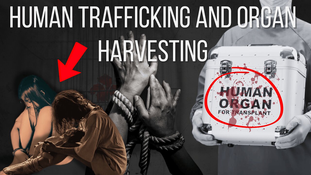 CEO Patricia Delinois Reveals Shocking Truth About the $200 Billion Human Trafficking Trade