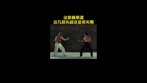 Kung fu video