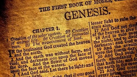 Genesis 9-11 | Old Testament | Bible study
