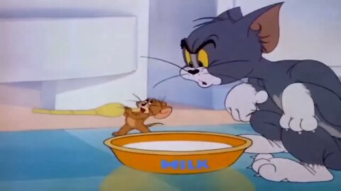 Tom And Jerry Bangla Cartoon New Dubbing Video Funny Tom And Jerry Bangla 6
