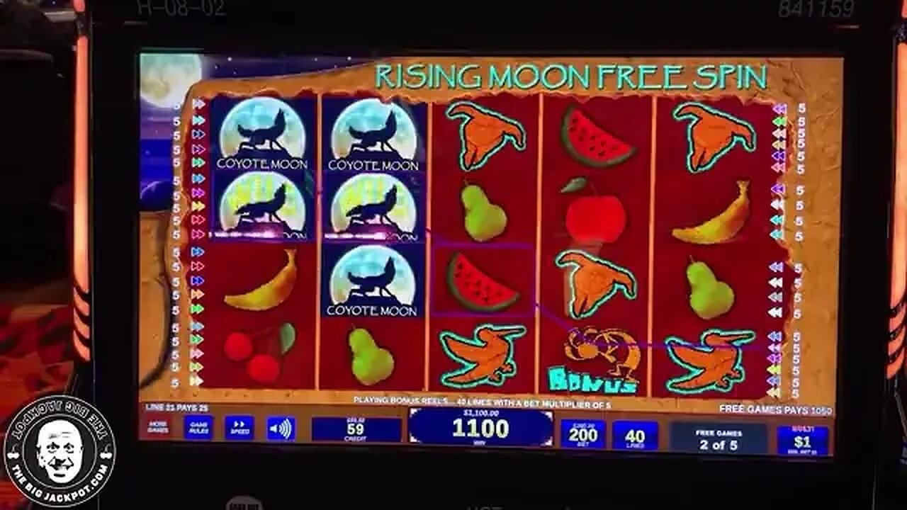 $200 Spins Must See High Limit Coyote Moon Jackpots!