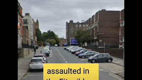 Two arrests after two Gardaí assaulted in Dublin