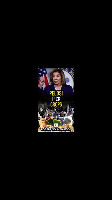 Pelosi Wants More Immigrants to Pick Crops #shorts