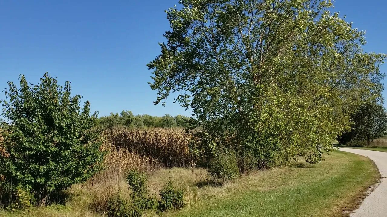 Lets hit the trails! / Iowa Trails / Talk about Animals I love / Lets Pray for the World