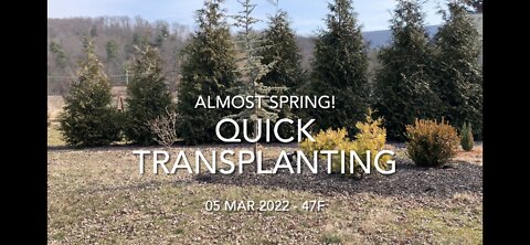 Quick Transplanting