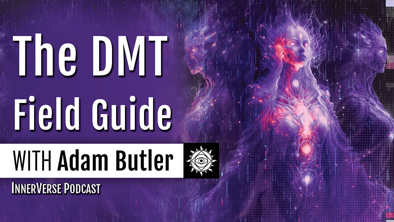 Adam Butler | The Psychedelic Spirit Molecule: DMT Realms & The Hard Problem of Consciousness