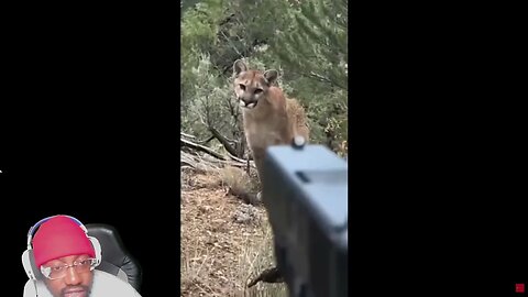 Man Who Came Face To Face With a Mountain Lion Sh00ts it in The Face With a Glock