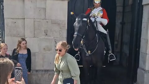 Sefie is over when the horse licks the back of your head. #horseguardsparade