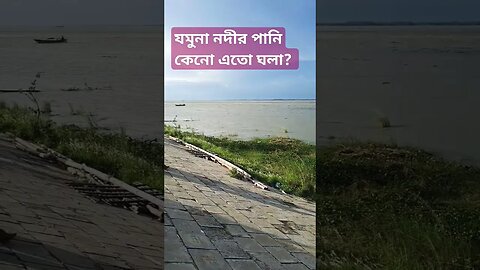 যমুনা নদীর পানি কেনো এতো বেশি কালো? jamuna river water is really black #shorts #river #jamunatv