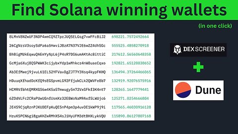 how to find winning Solana wallets memecoin trading (100% win rate)