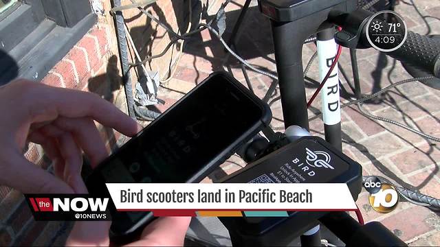 Bird scooters land in Pacific Beach