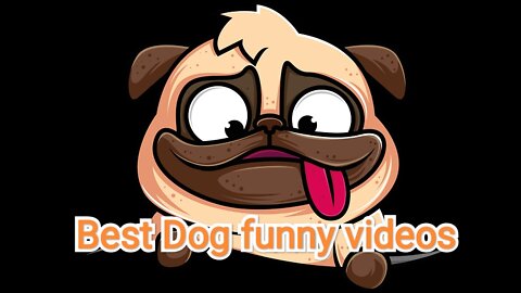 Best Dog Funny videos