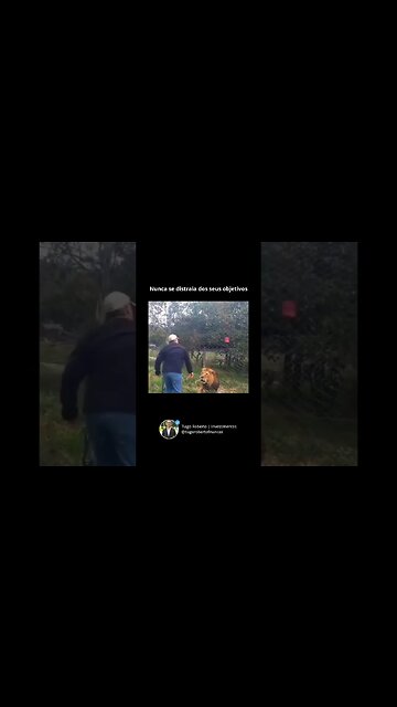 foco. #investimento #educaçãofinanceira