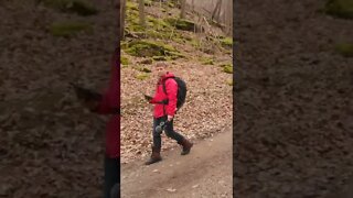 Hiking On The Bruce Trail In Ontario #short #shortvideo #shortsvideo #shorts #hiking