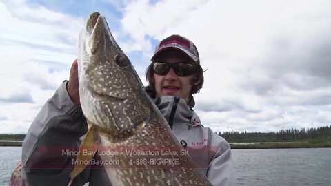 Monster Lake Trout on Wollaston Lake