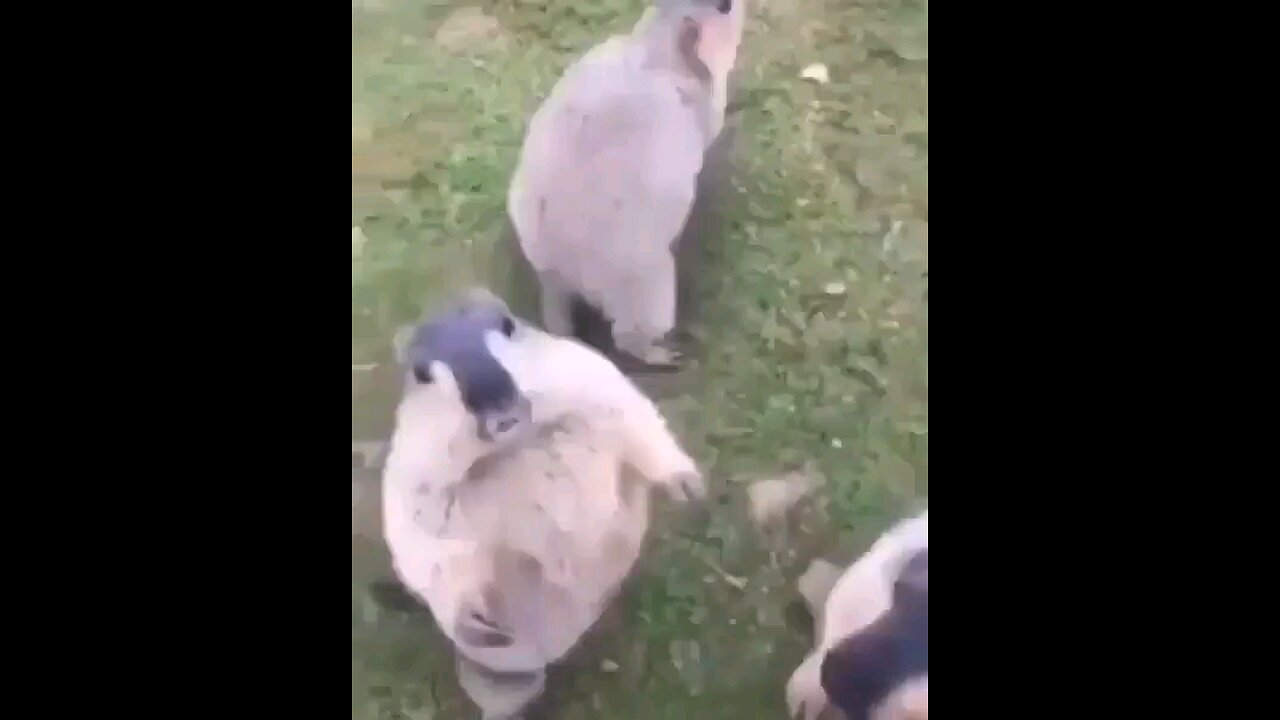 😀😃😄
