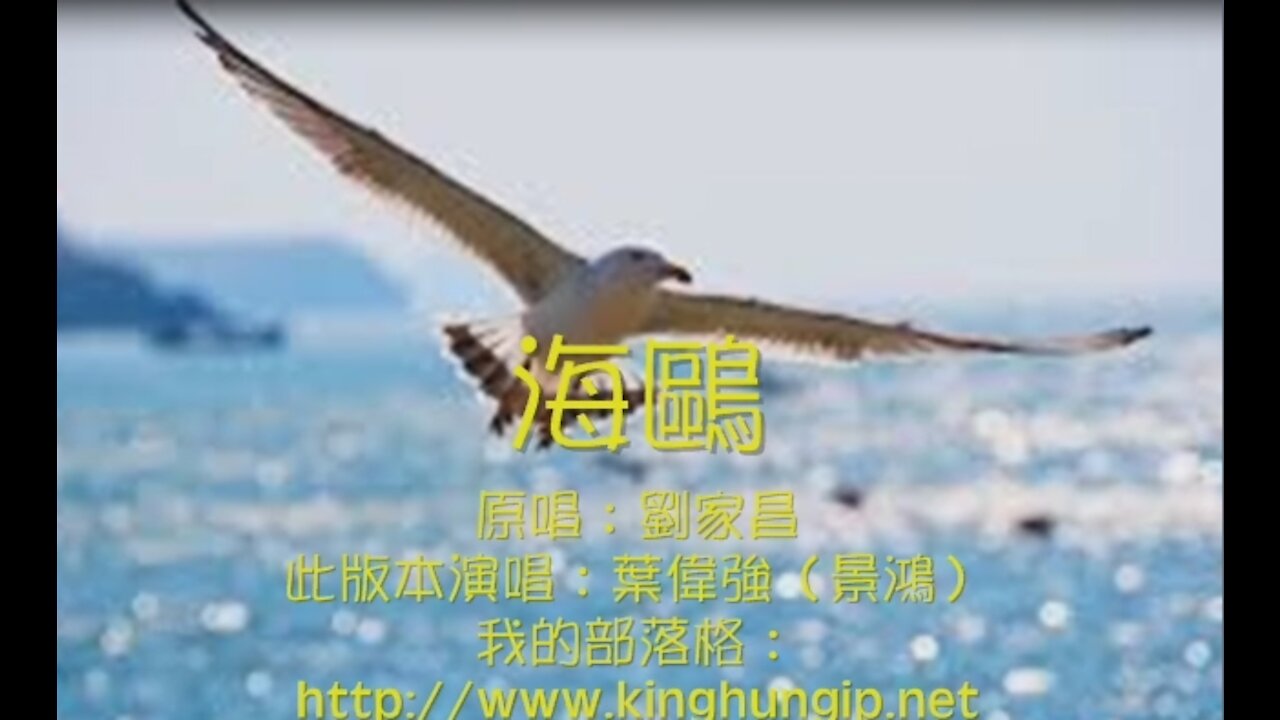 《葉偉強》海 鷗