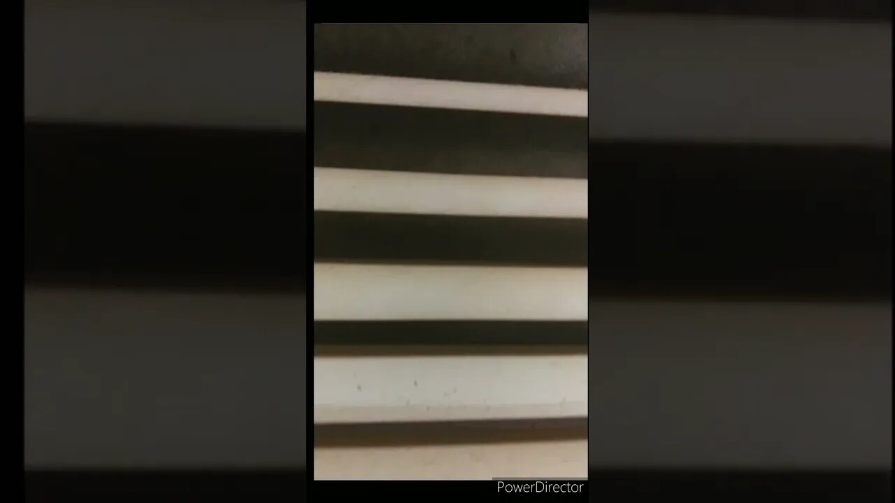 WHAT IS THAT?
