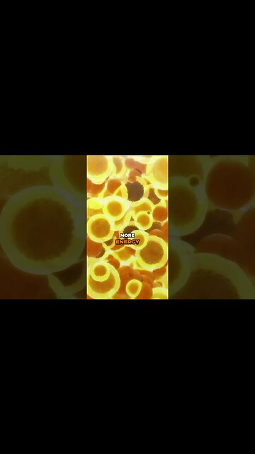 This is how you feel more energized during fat loss🔥